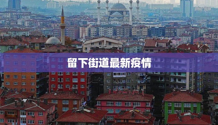 留下街道最新疫情
