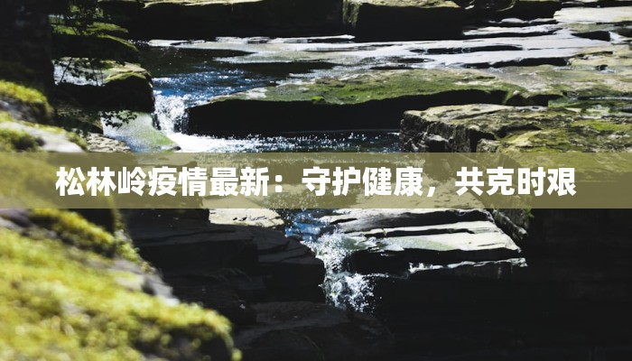 松林岭疫情最新：守护健康，共克时艰