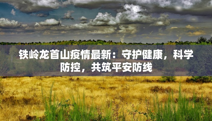 铁岭龙首山疫情最新：守护健康，科学防控，共筑平安防线