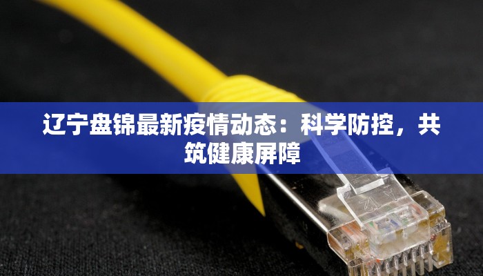 辽宁盘锦最新疫情动态：科学防控，共筑健康屏障