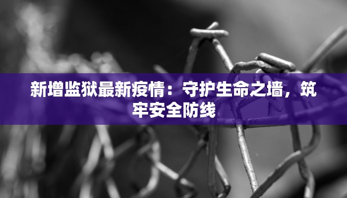新增监狱最新疫情：守护生命之墙，筑牢安全防线