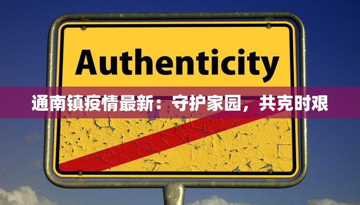 通南镇疫情最新：守护家园，共克时艰