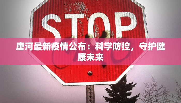唐河最新疫情公布：科学防控，守护健康未来