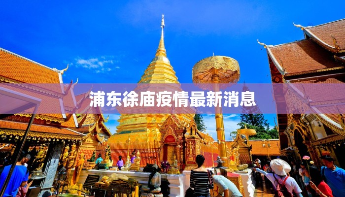 浦东徐庙疫情最新消息
