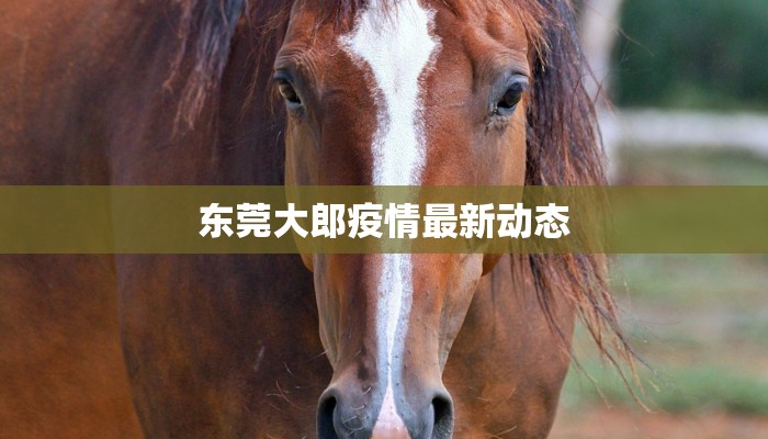 东莞大郎疫情最新动态