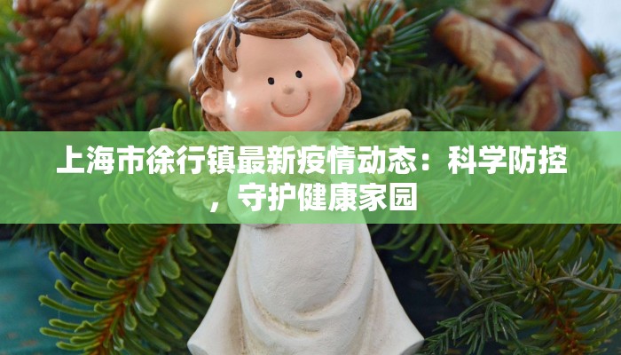 上海市徐行镇最新疫情动态：科学防控，守护健康家园