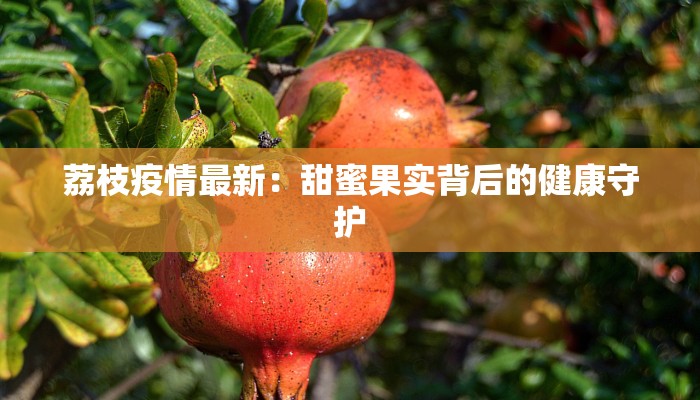 赫拉美肤中心团购：解锁你的肌肤新生之旅