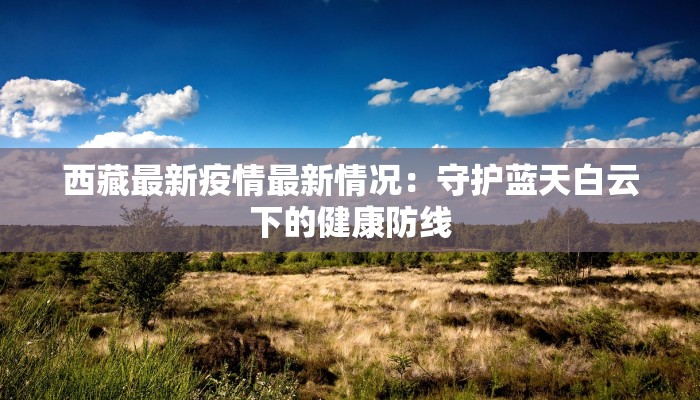 西藏最新疫情最新情况：守护蓝天白云下的健康防线