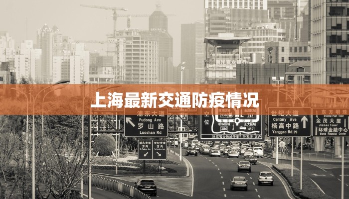上海最新交通防疫情况