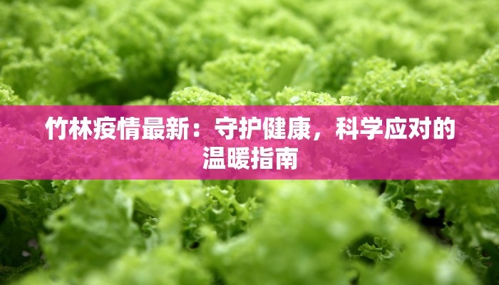 竹林疫情最新：守护健康，科学应对的温暖指南