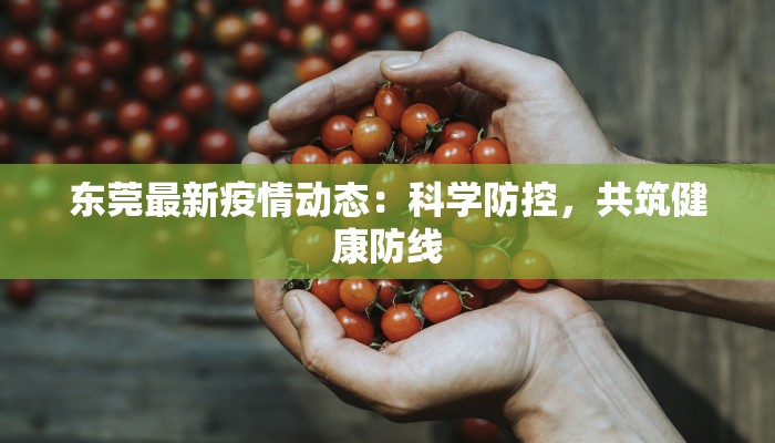东莞最新疫情动态：科学防控，共筑健康防线