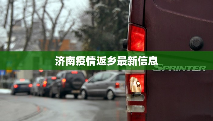 美食博主快手菜：厨房里的魔法，美味触手可及