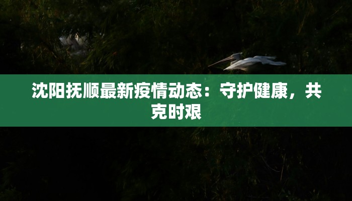 沈阳抚顺最新疫情动态：守护健康，共克时艰