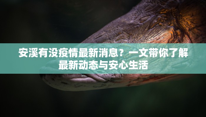 安溪有没疫情最新消息？一文带你了解最新动态与安心生活