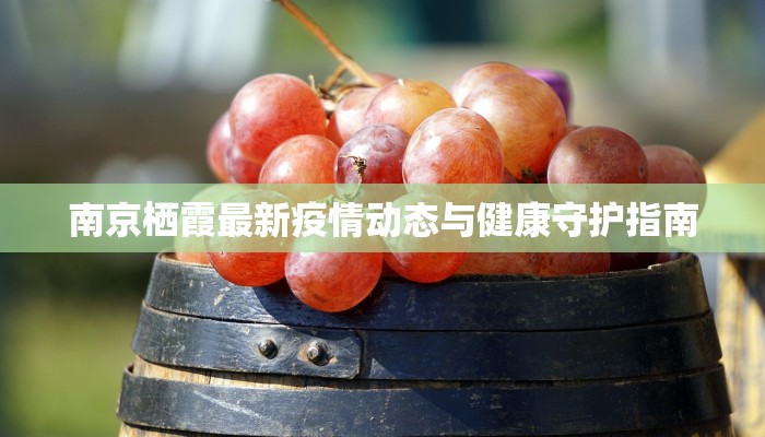 南京栖霞最新疫情动态与健康守护指南