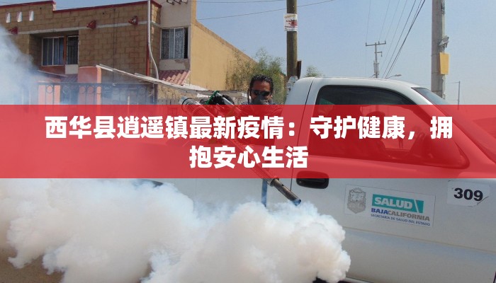 西华县逍遥镇最新疫情：守护健康，拥抱安心生活