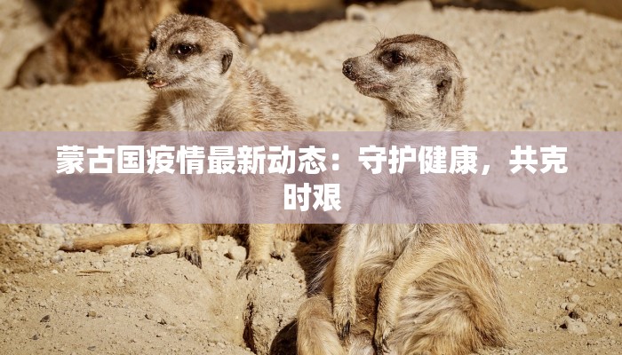 蒙古国疫情最新动态：守护健康，共克时艰