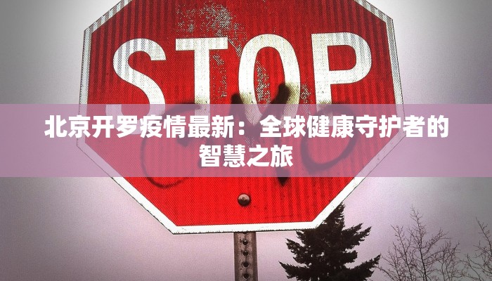 北京开罗疫情最新：全球健康守护者的智慧之旅