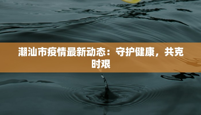 潮汕市疫情最新动态：守护健康，共克时艰