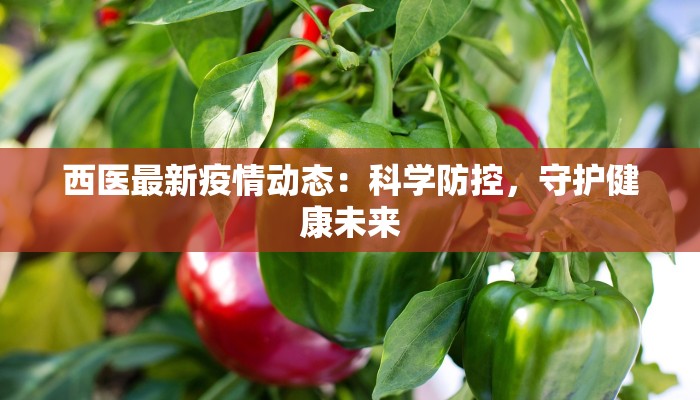 西医最新疫情动态：科学防控，守护健康未来