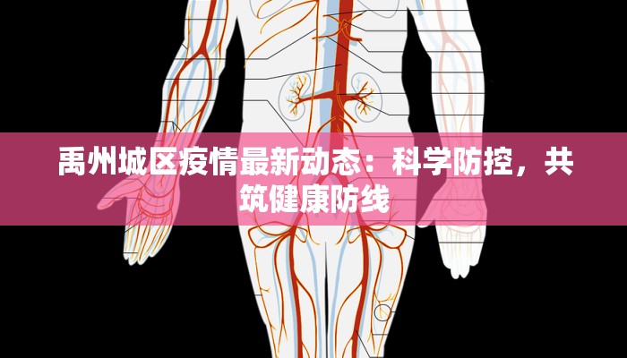 禹州城区疫情最新动态：科学防控，共筑健康防线