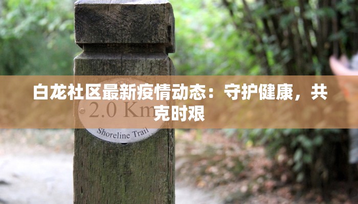 白龙社区最新疫情动态：守护健康，共克时艰