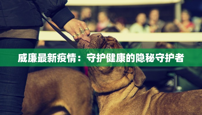 威廉最新疫情：守护健康的隐秘守护者