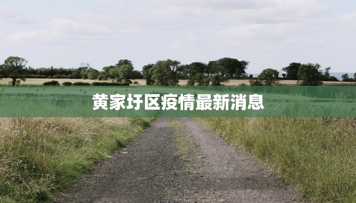 黄家圩区疫情最新消息