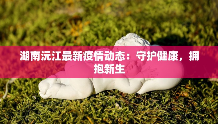 湖南沅江最新疫情动态：守护健康，拥抱新生