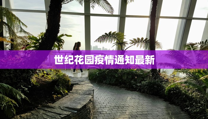 捐赠物资团购驰援：点亮希望，汇聚力量