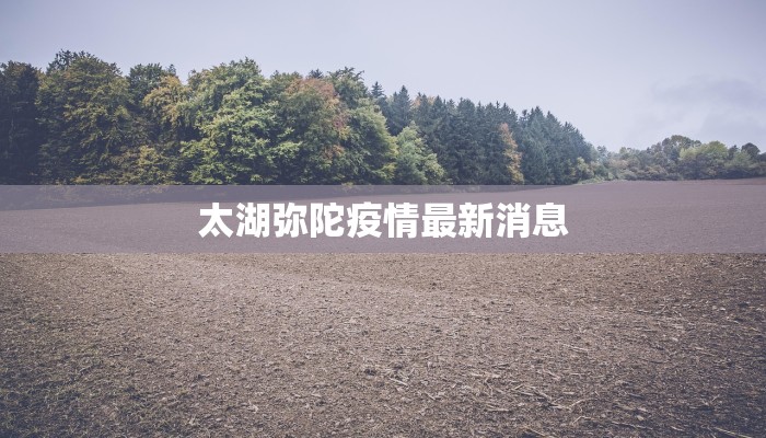 武汉疫情最新素材：从风暴中心到新生之城