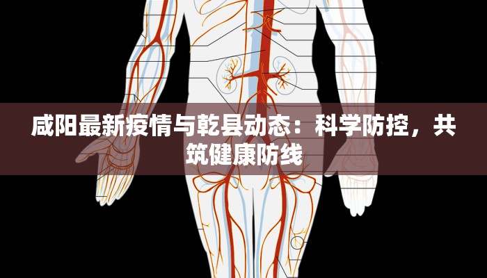 咸阳最新疫情与乾县动态：科学防控，共筑健康防线