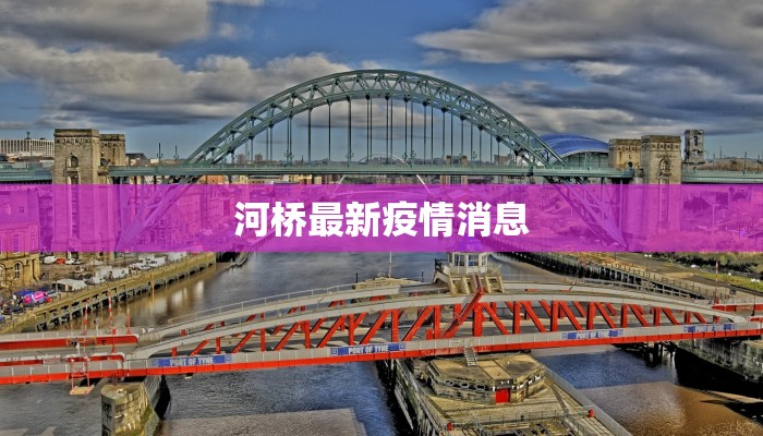 河桥最新疫情消息