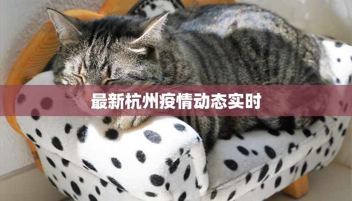 最新杭州疫情动态实时