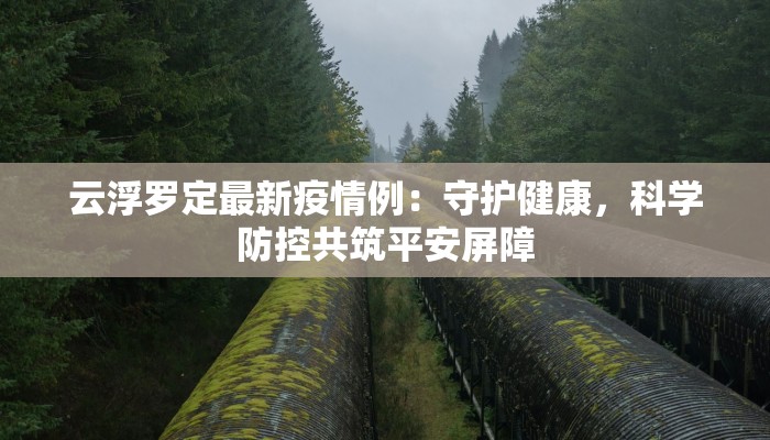 云浮罗定最新疫情例：守护健康，科学防控共筑平安屏障