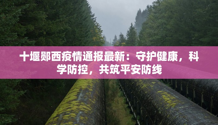十堰郧西疫情通报最新：守护健康，科学防控，共筑平安防线