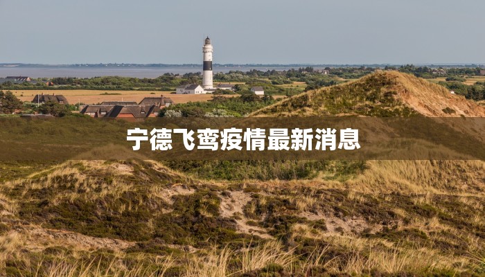 宁德飞鸾疫情最新消息