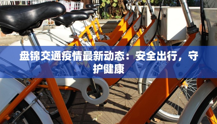 盘锦交通疫情最新动态：安全出行，守护健康