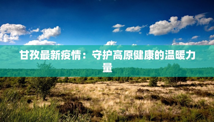 甘孜最新疫情：守护高原健康的温暖力量