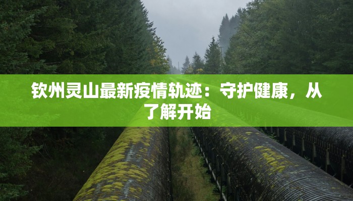 东宁最新疫情今天：守护健康，科学前行