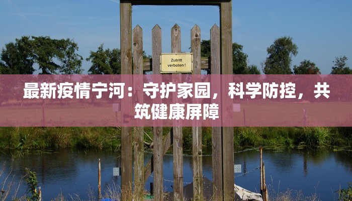 最新疫情宁河：守护家园，科学防控，共筑健康屏障
