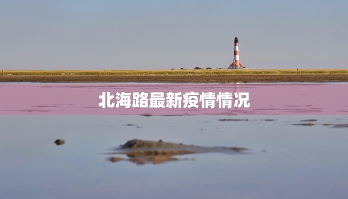 北海路最新疫情情况