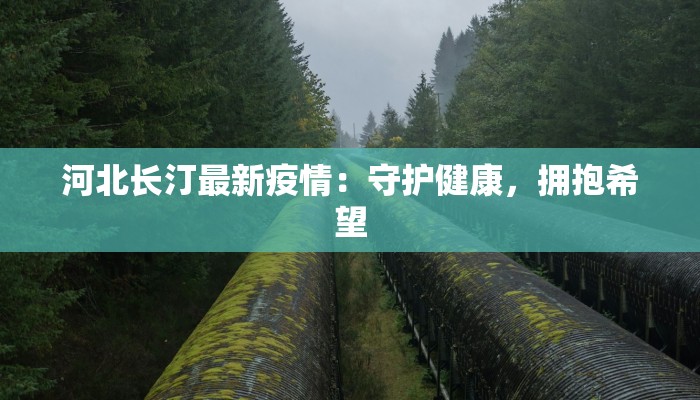 河北长汀最新疫情：守护健康，拥抱希望