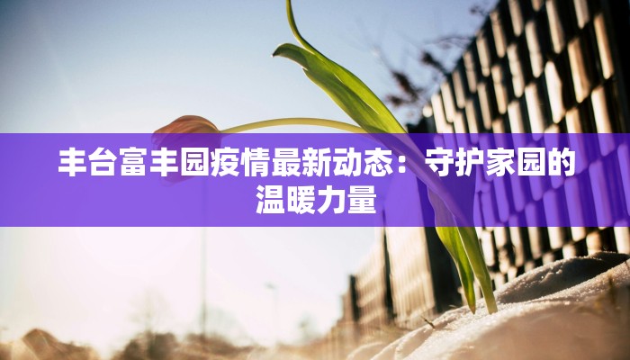 丰台富丰园疫情最新动态：守护家园的温暖力量