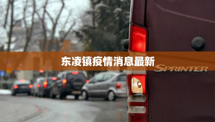 东凌镇疫情消息最新