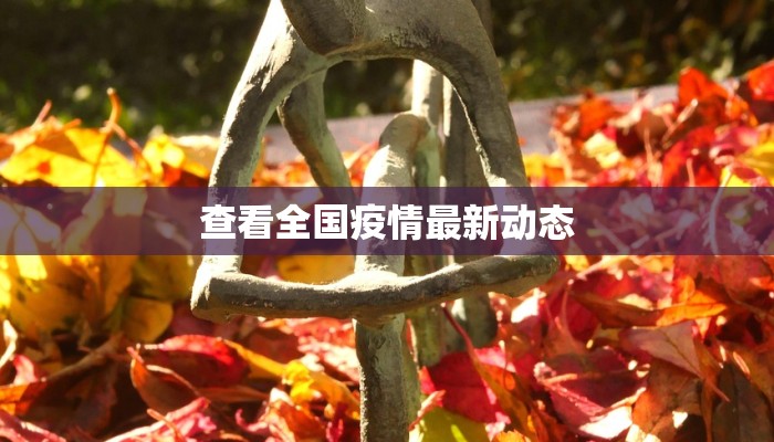 查看全国疫情最新动态