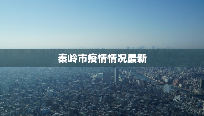 秦岭市疫情情况最新