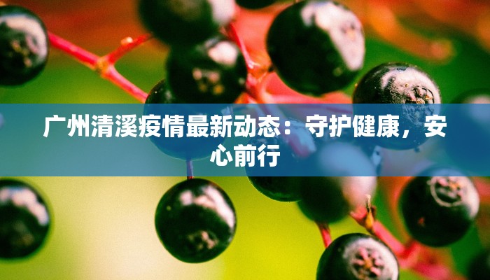 广州清溪疫情最新动态：守护健康，安心前行