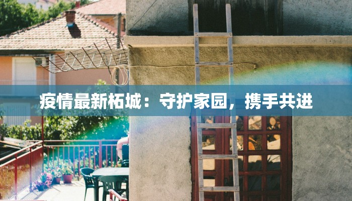 疫情最新柘城：守护家园，携手共进