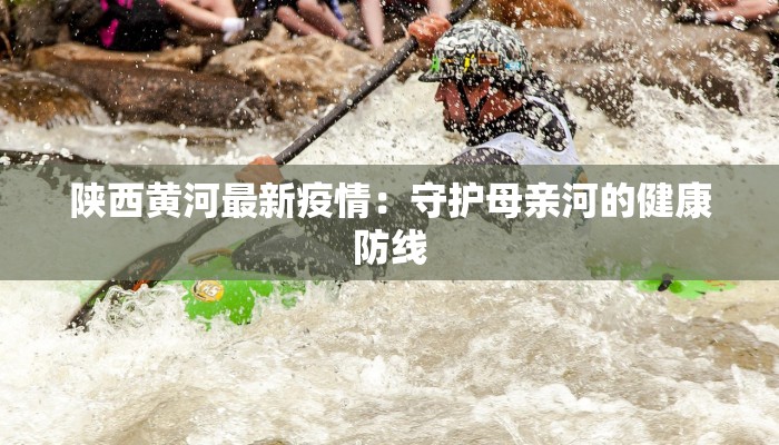 大荷叶上的优雅之舞——一场视觉与心灵的盛宴